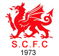 swansea city afc crest 1973